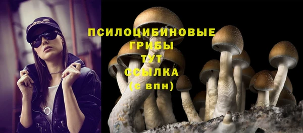 мескалин Горняк