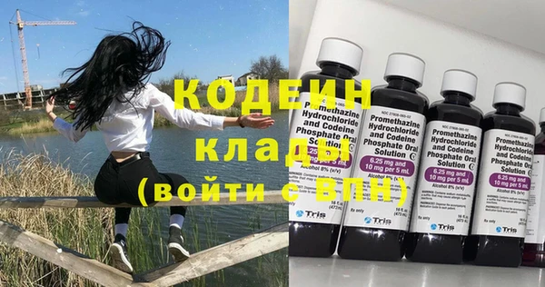 ГАЛЛЮЦИНОГЕННЫЕ ГРИБЫ Гусь-Хрустальный