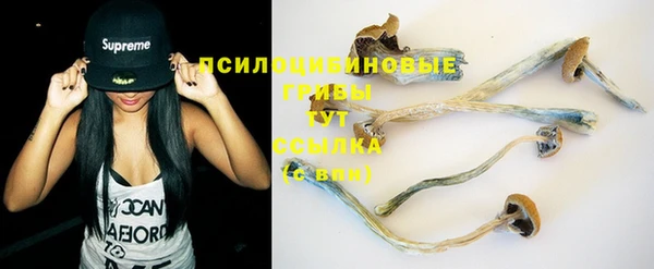 мет Гусиноозёрск