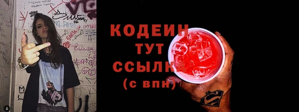 ГАЛЛЮЦИНОГЕННЫЕ ГРИБЫ Гусь-Хрустальный